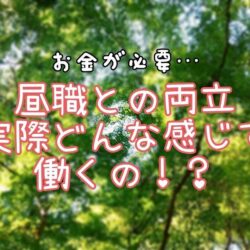 昼職と両立している女の子って実際どんな感じ？スタッフがご紹介します♪