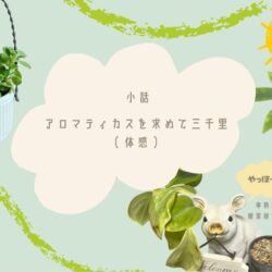 アロマティカスを求めて三千里(自分体感)