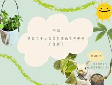 アロマティカスを求めて三千里(自分体感)