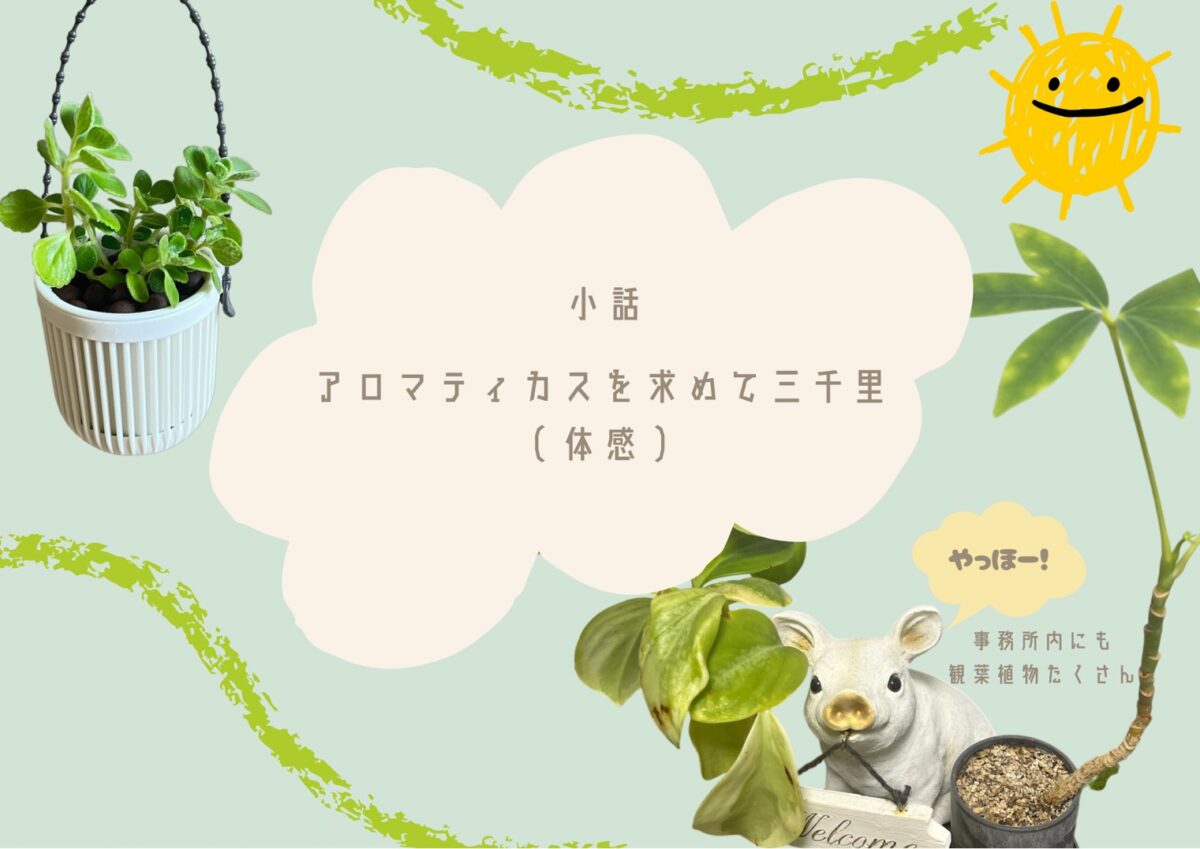 アロマティカスを求めて三千里(自分体感)