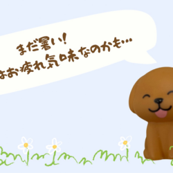 9月？！まだ暑い！そろそろ身体はお疲れ気味なのかも…