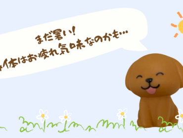 9月？！まだ暑い！そろそろ身体はお疲れ気味なのかも…