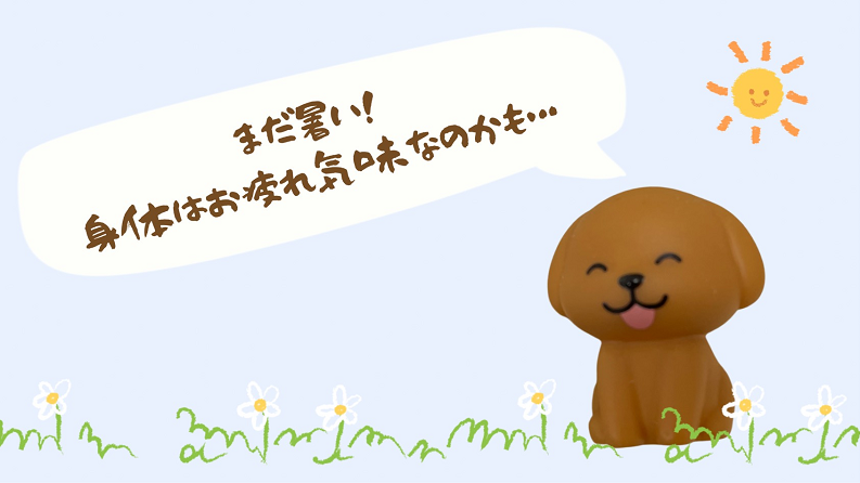 9月？！まだ暑い！そろそろ身体はお疲れ気味なのかも…