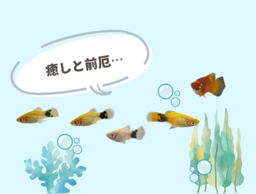 10月…日々の癒しを探していたはずなのに…